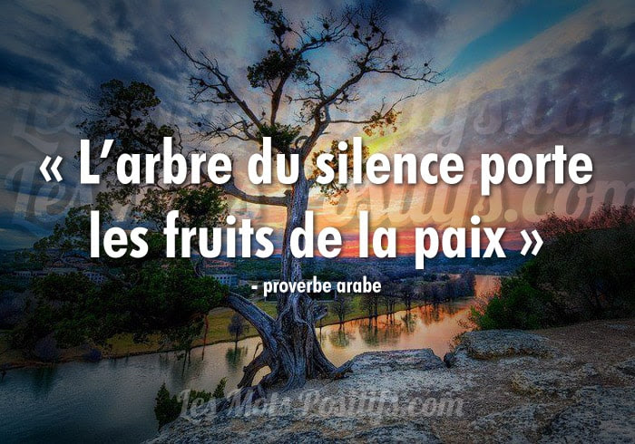 Quotes About Patience And Silence About Quotes U