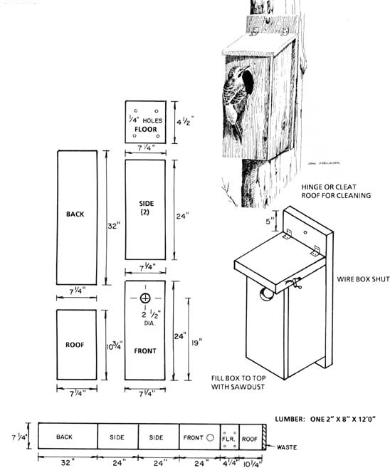 cheapmieledishwashers: 18 Lovely Great Horned Owl House Plans