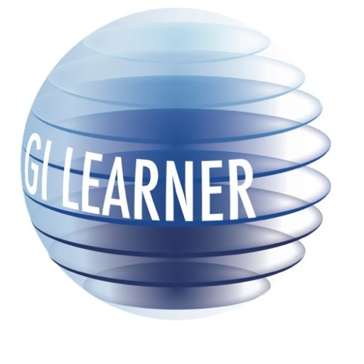 Image result for gi learner logo