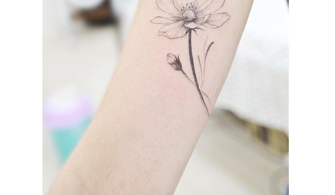 Cosmos Flower Tattoo Meaning - Best Flower Wallpaper