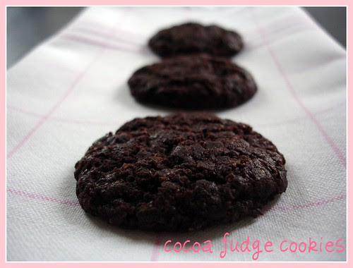 Cocoa fudge cookies