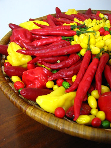 Bounty of Fresh Peppers