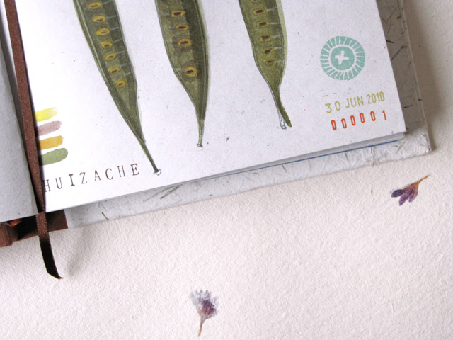 Hizache pods