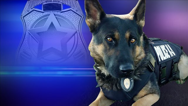 Image result for DeKalb County police dog dead, handler suspended