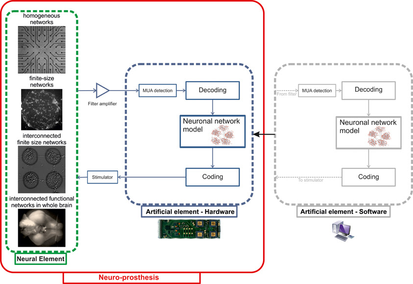 Signal Stat 900 Wiring Diagram - Ekerekizul