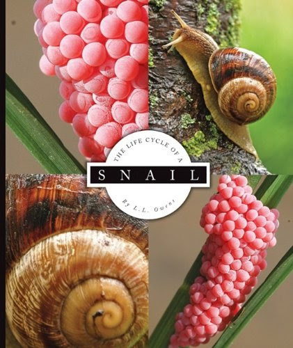 Milan Kunal Download Snail Life Cycle Of A Library Pdf