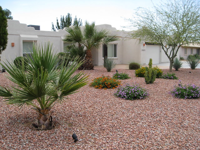 mraux: desert front yard landscaping pictures