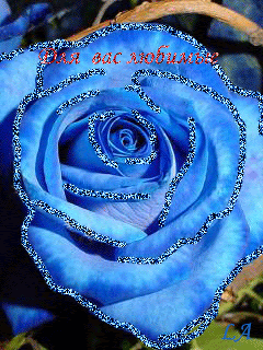 Голубая роза ,для вас,любимые!