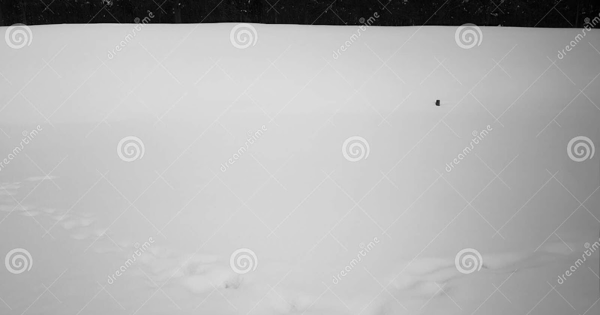 Fondo Negro Liso Hd - Fondo Makers Ideas