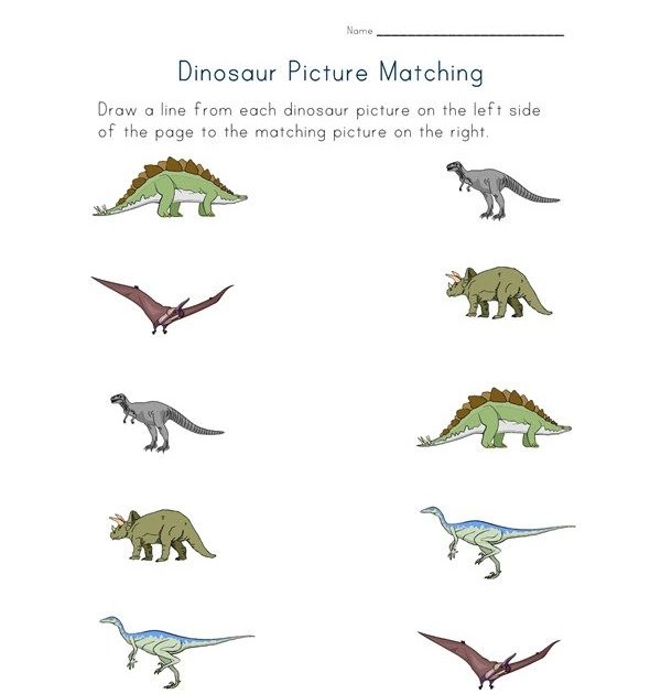 Preschool Dinosaur Matching Worksheet - Preschool Worksheet Gallery