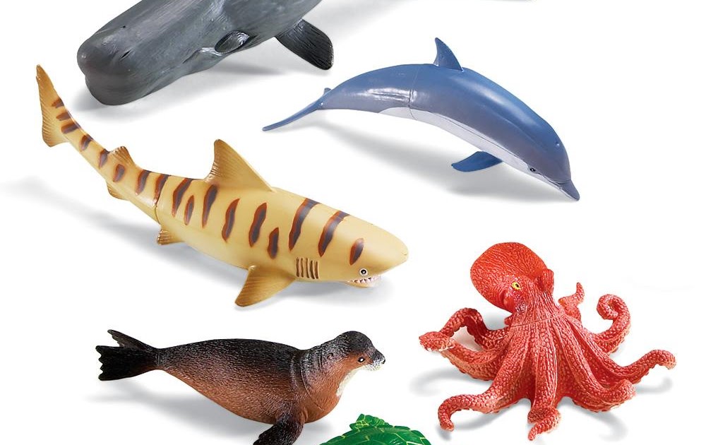 Ocean Sea Animals List