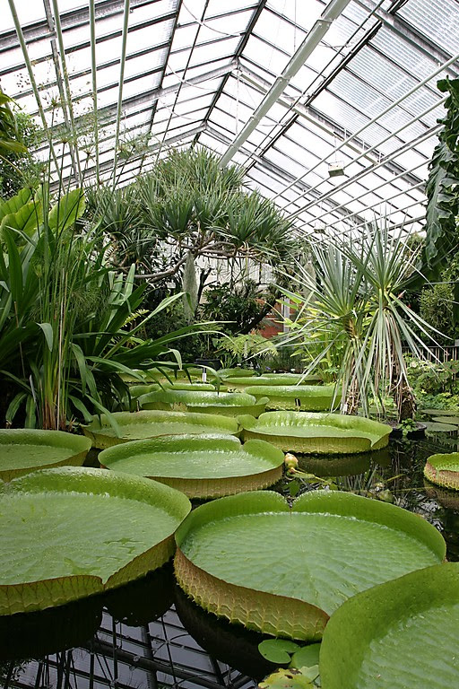 botanischer garten wilhelmshaven organzavintage5