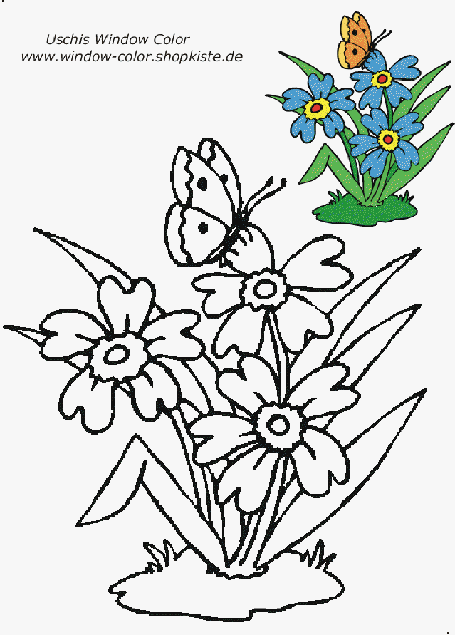 Window color malvorlagen blumen information