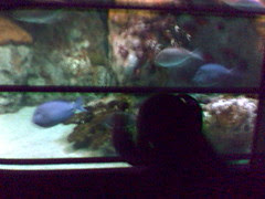 Celeste in the Big Tank