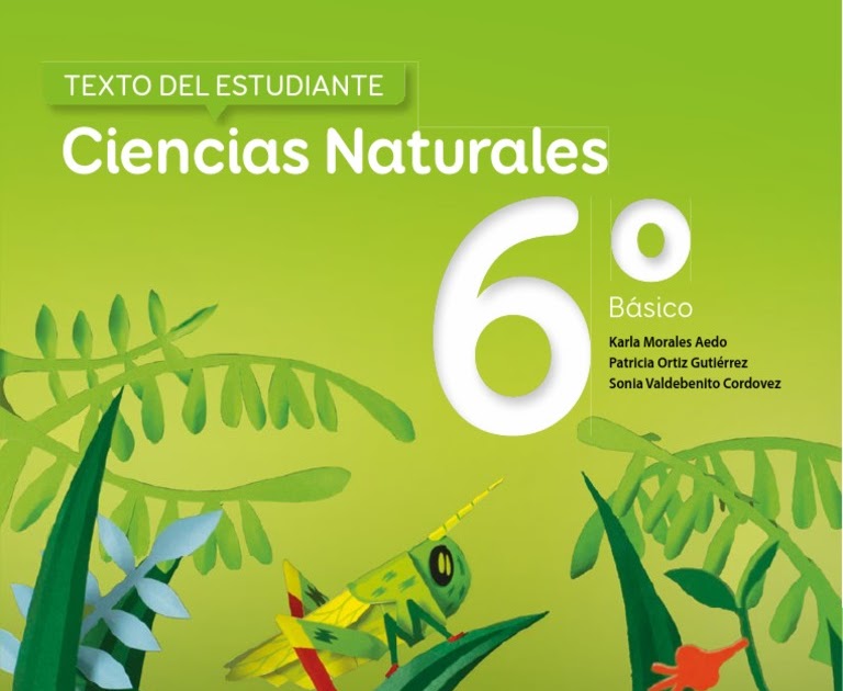 Libro De Sexto Grado Ciencias Naturales Contestado - Ciencias Naturales