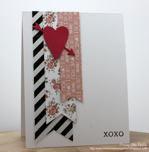 tracey_12K8