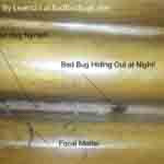 bed bugs in used furniture bed bugs in used furniture on headboard