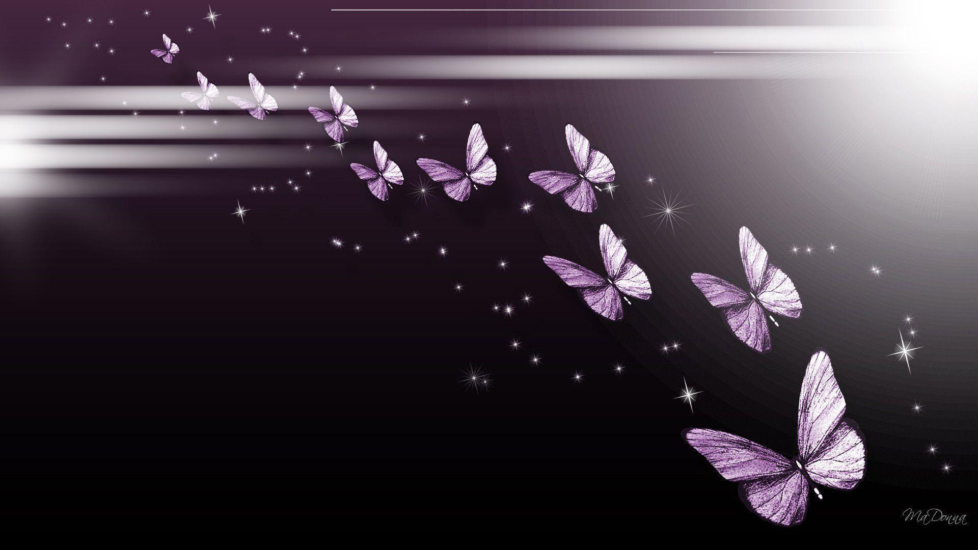 Purple Butterflies Wallpapers - Wallpaper Cave