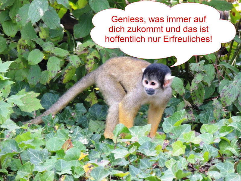 Ich Gratuliere Dir Ganz Herzlich Zum Geburtstag, Weisheiten... lustige wünsche zum geburtstag