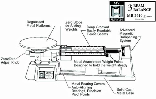 26 Triple Beam Balance Worksheet - Worksheet Information