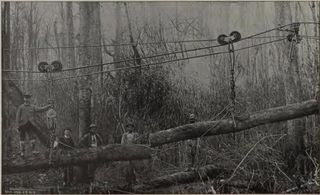 Ropeway for timber Ropeway for timber