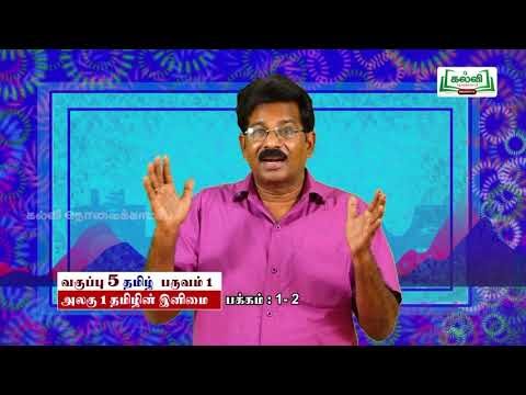 5th Tamil Bridge Course தமிழின் இனிமை அலகு 1 Kalvi TV