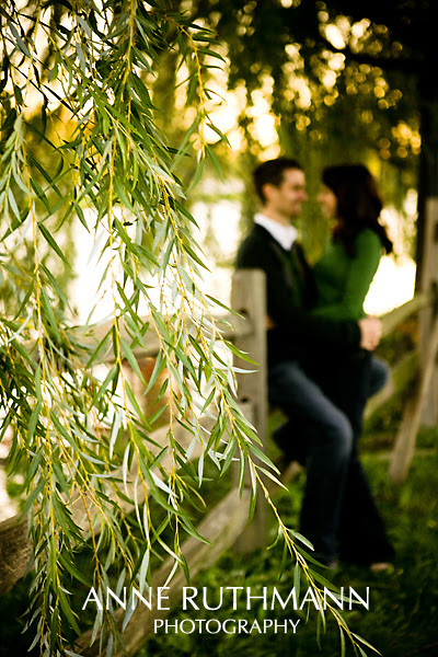 I_0074 copy.jpg
