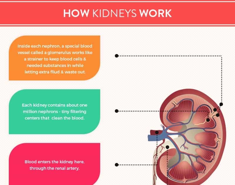 Kidney Dialysis And Diabetes - monertysadrev