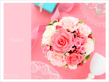 すべての美しい花の画像 最高のピンク 花 壁紙 無料