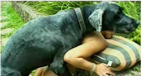 Image result for A LADY CAUGHT HAVING S$X WITH A DOG
