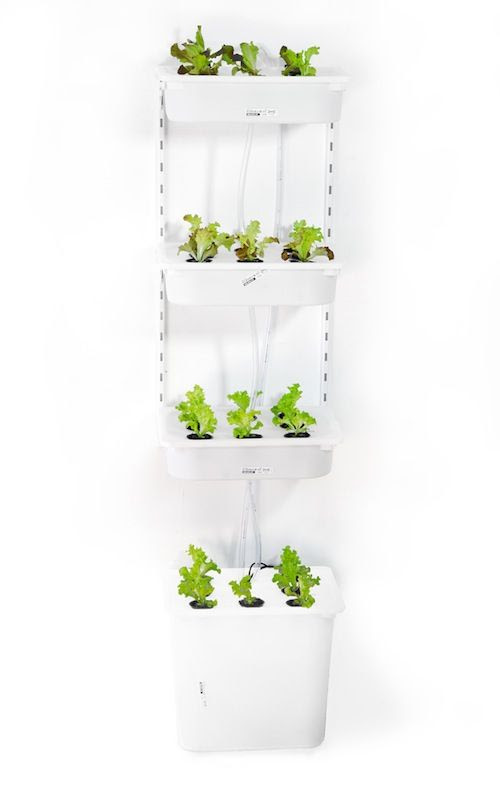 build your own vertical hydroponic system | Aquaponics at Home