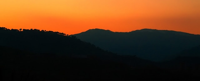 Orange sky
