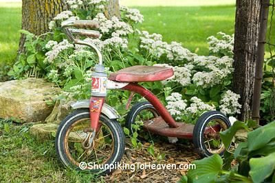 Tricycle in the Garden, Jackson County, Iowa