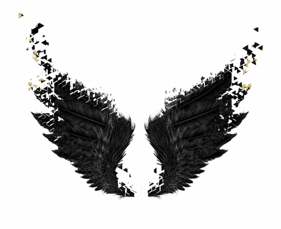 Черные крылья ангела на прозрачном фоне