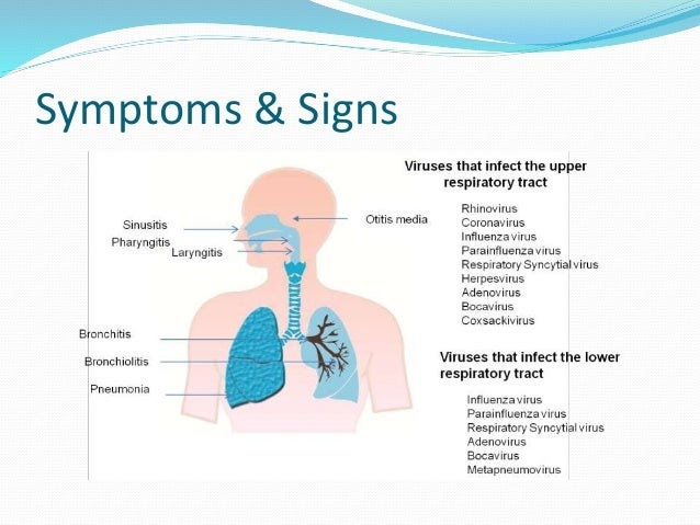 Upper Respiratory Tract Infection 8 Month Old Human Body