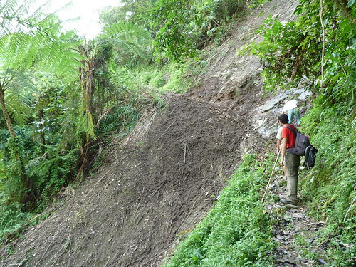Rice Terraces