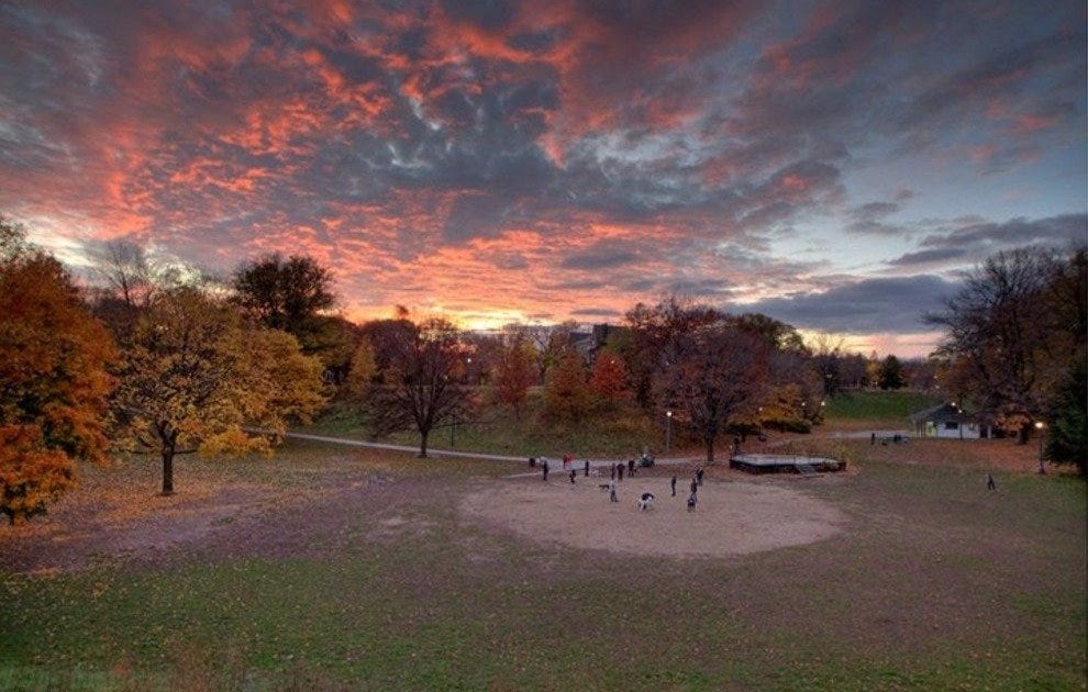 Trinity Bellwoods Park / Trinity Bellwoods Park in Toronto is totally