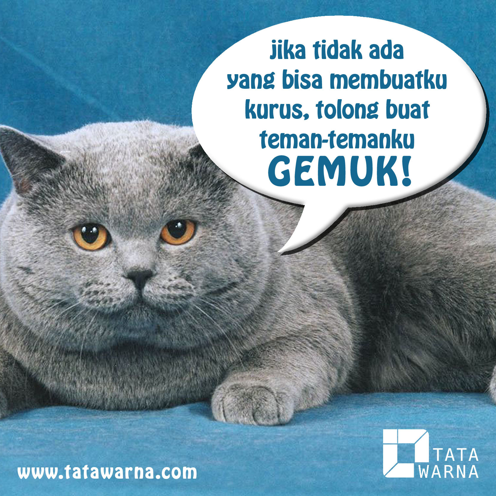 Gambar Lucu Kata Kata Hewan Kolektor Lucu