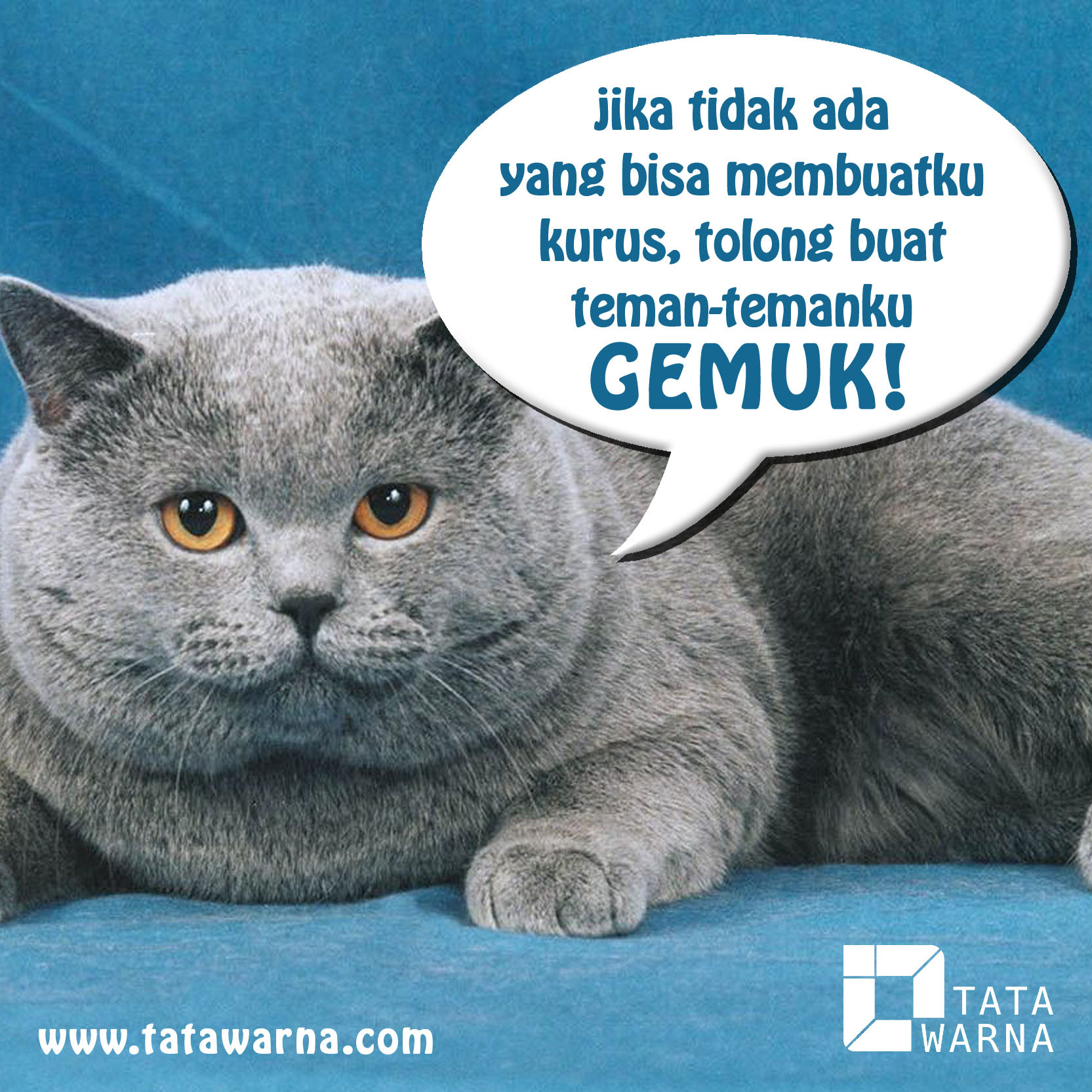 Gambar Lucu Gokil Gif Update Status