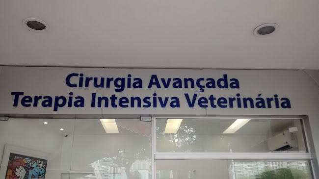 Comentários e avaliações sobre Nucleo - Hospital Veterinário 24 horas, Barra da Tijuca RJ