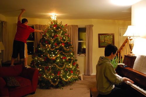 Trimming the tree