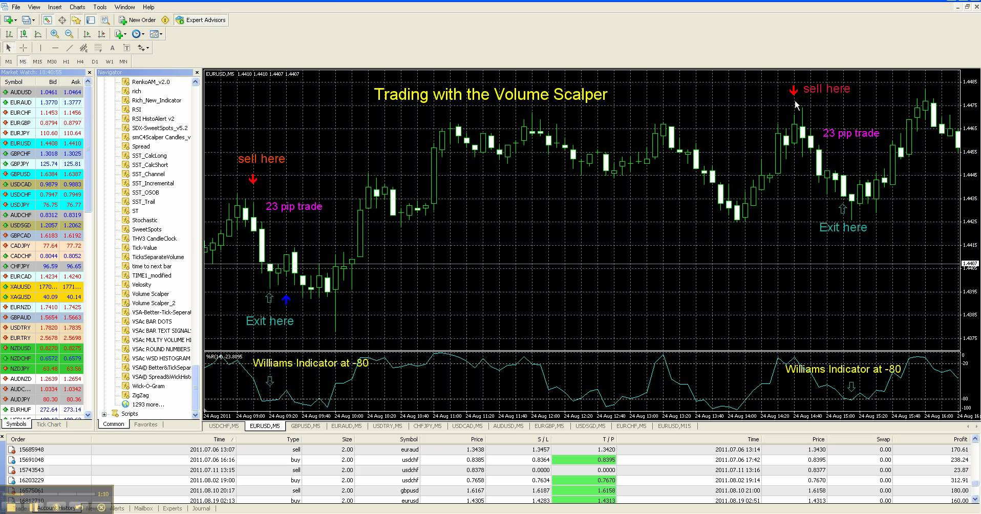 Forex Scalping Strategy System V20 Ea Free Download 
