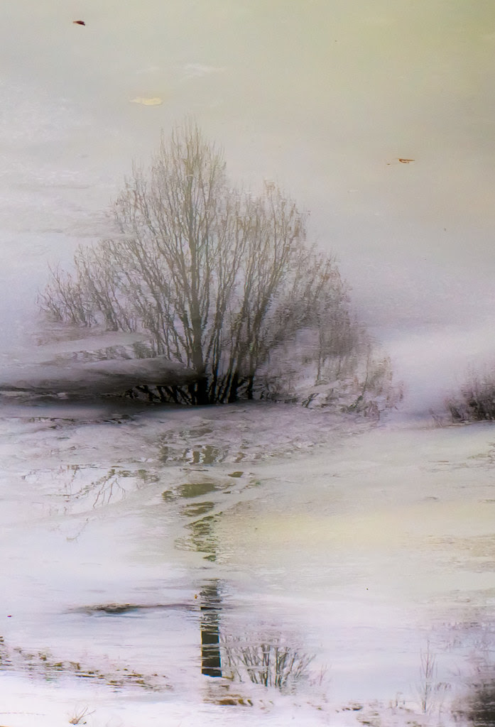 Mirror Wood 1 28161