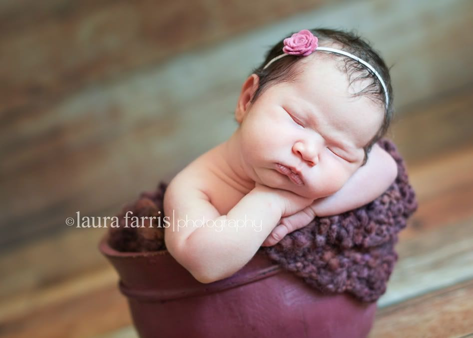 newborn photography idaho