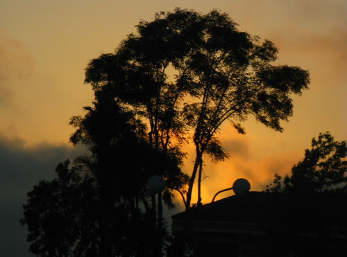 sun2