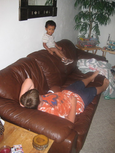 king of the couch