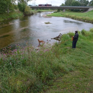 Waar Brigach en Breg Donau op weg helpen