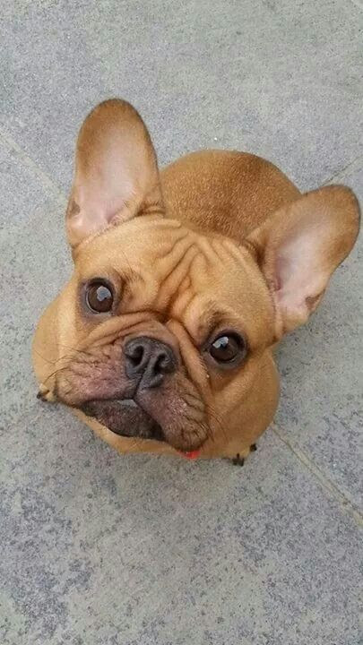 Cutie!