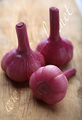 Chesnok - Pickled Garlic (Red)