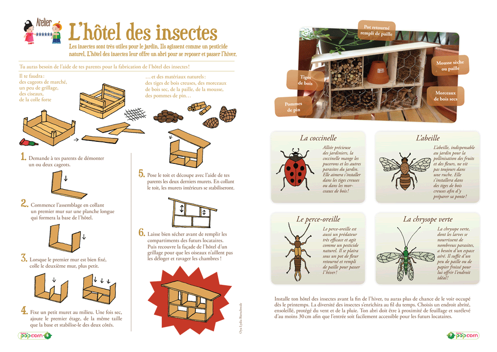 Résultat de recherche d'images pour "hotel à insectes pdf"